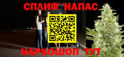 тгк Будённовск